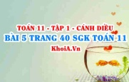 Bài 5 trang 40 SGK Toán 11 tập 1 Cánh Diều